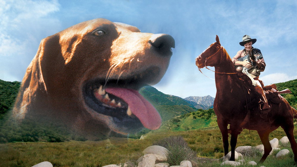 忠狗山姆,Savage Sam(1963电影)