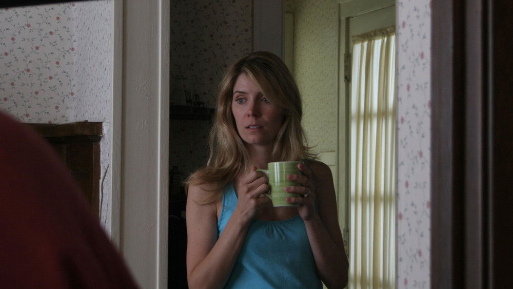 现金对决,Ca$h(2010电影)