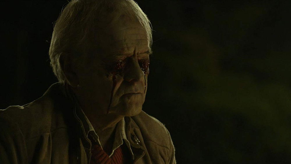 诡怪疑云,Aterrados(2018电影)