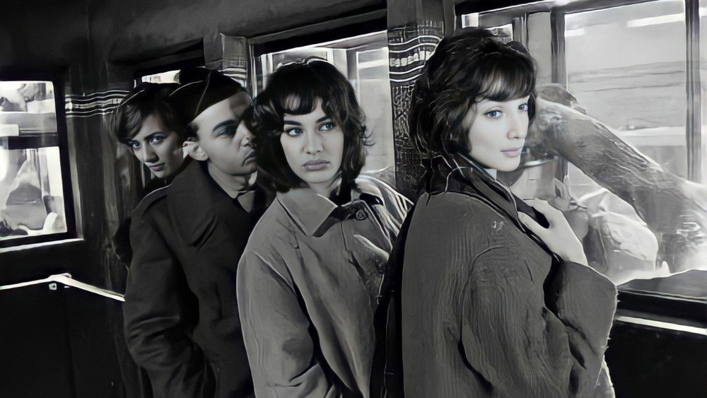 好女人们,Les bonnes femmes(1960电影)