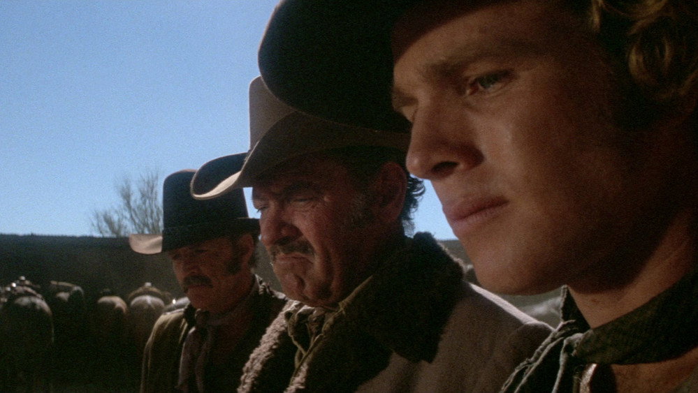 戎马闯天关,Wild Rovers(1971电影)