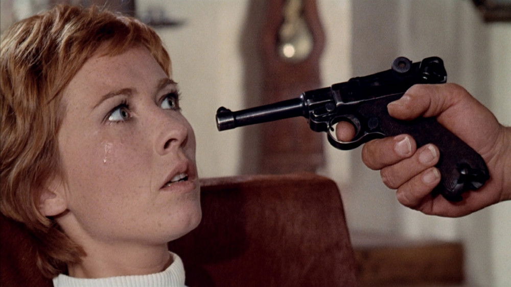 雨中的乘客,Le passager de la pluie(1970电影)