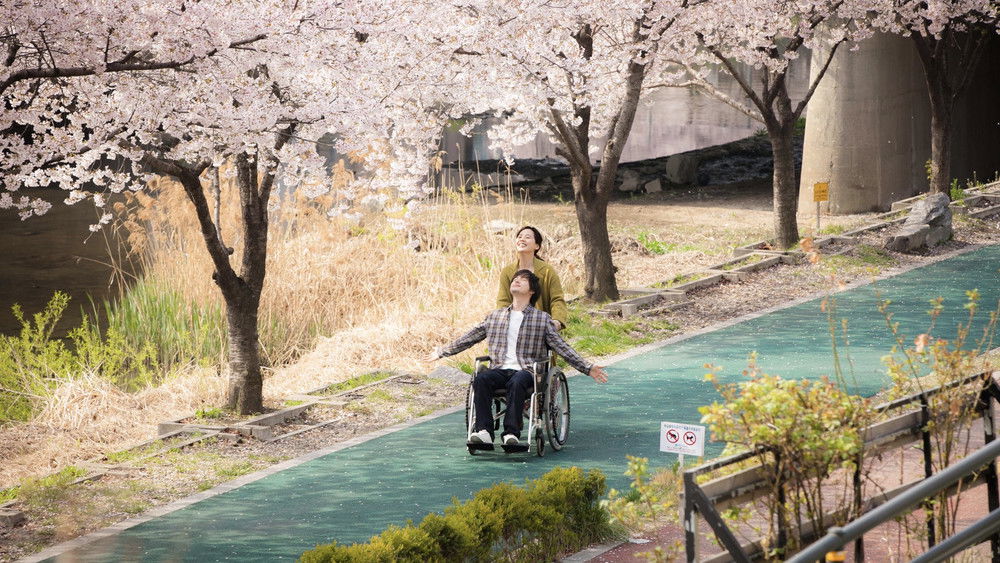 纸花,종이꽃(2020电影)