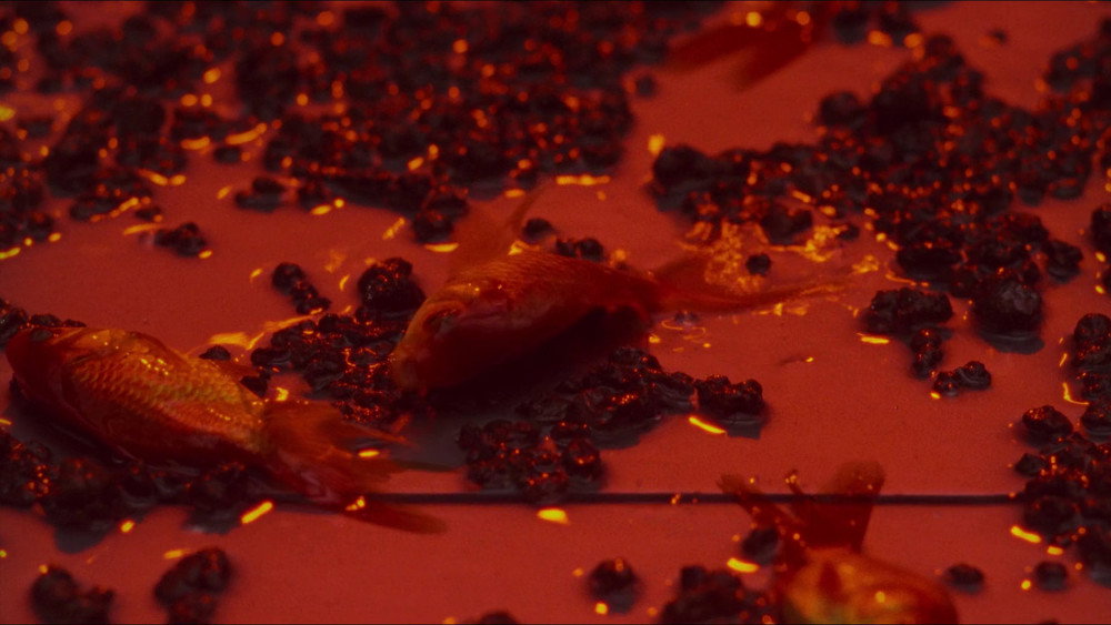 全面回忆,Total Recall(1990电影)