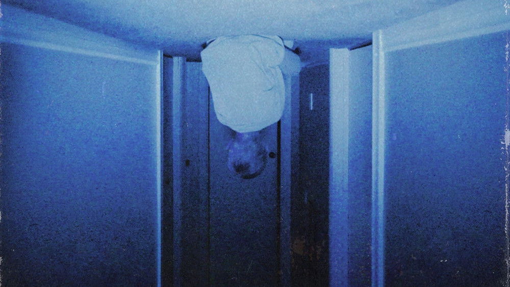 魔童谣,Skinamarink(2023电影)