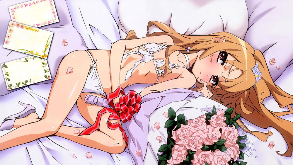 龙与虎,とらドラ！(2008日本动漫)