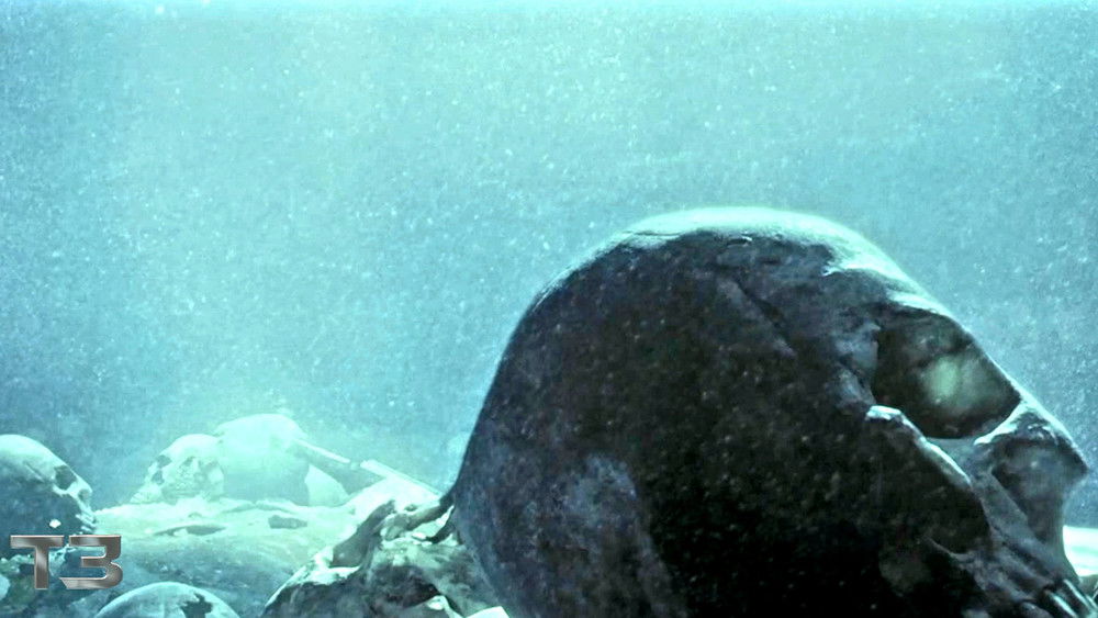 终结者3：机器的觉醒,Terminator 3: Rise of the Machines(2003电影)