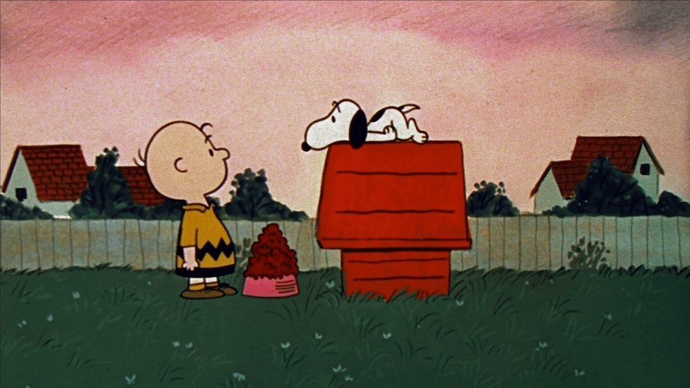 查理布朗男孩,A Boy Named Charlie Brown(1969电影)