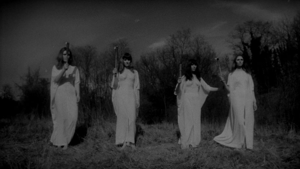 吸血鬼女王,Le Viol du vampire(1968电影)