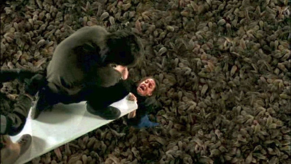 灭鼠大战,The Rats(2002电影)