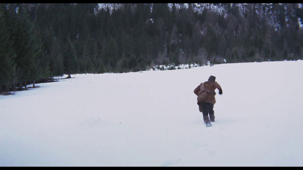 伟大的寂静,Il grande silenzio(1968电影)