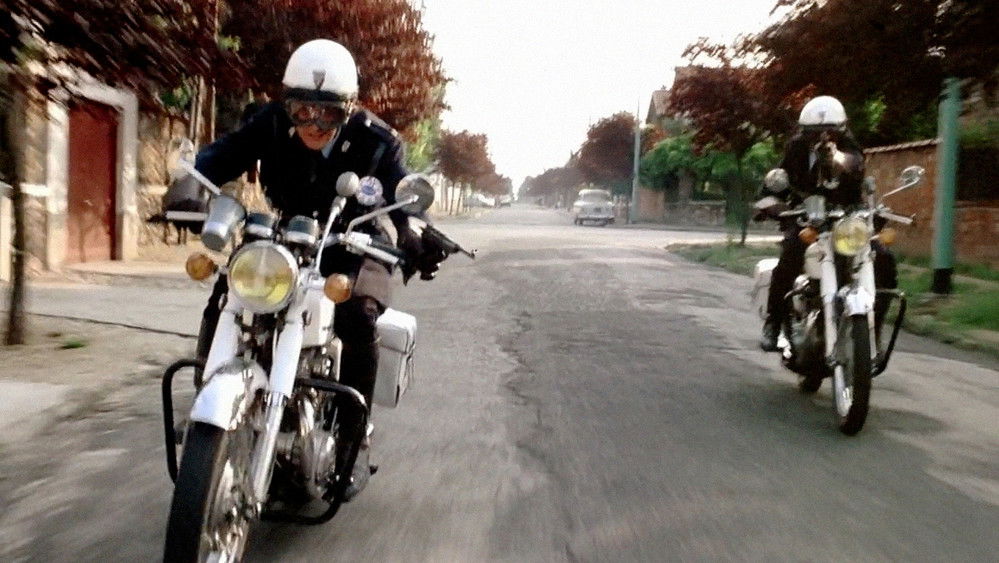 大盗吉普赛,Le Gitan(1975电影)