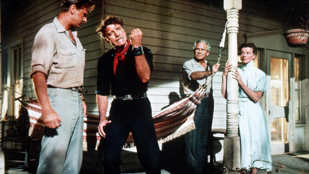 造雨人,The Rainmaker(1956电影)