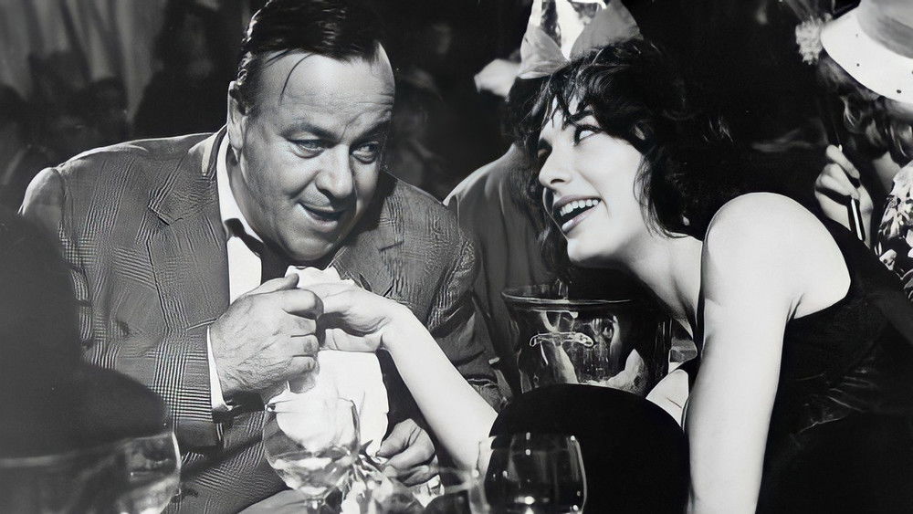 好女人们,Les bonnes femmes(1960电影)