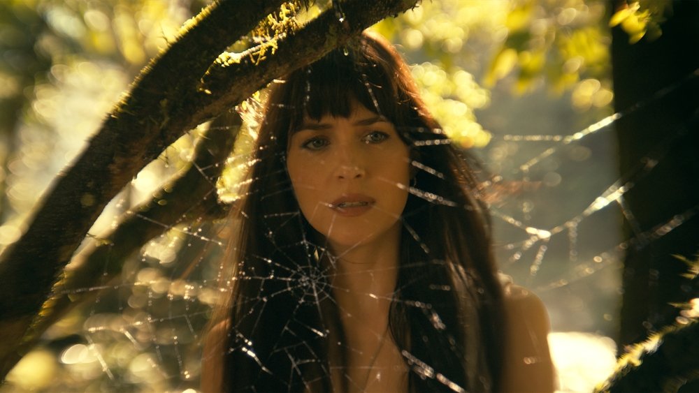蜘蛛夫人：超感觉醒,Madame Web(2024电影)