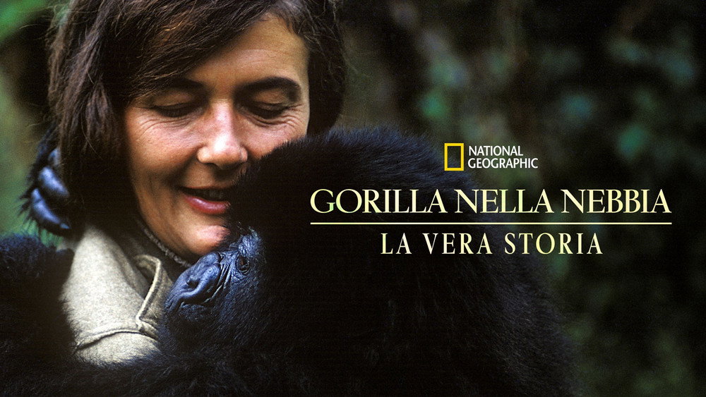 戴安·弗西被杀之谜,Dian Fossey: Secrets in the Mist(2017电视剧集)