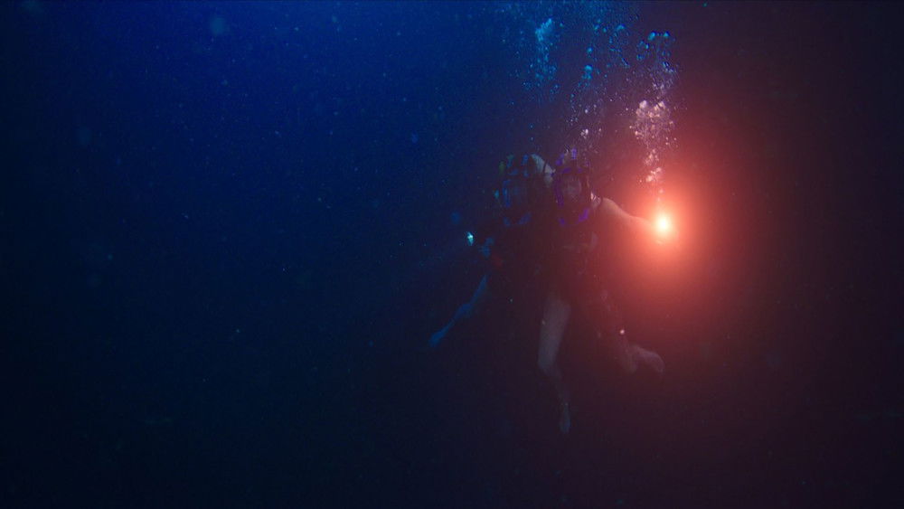 鲨海,47 Meters Down(2017电影)