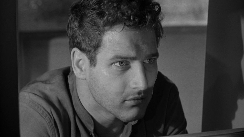 回头是岸,Somebody Up There Likes Me(1956电影)