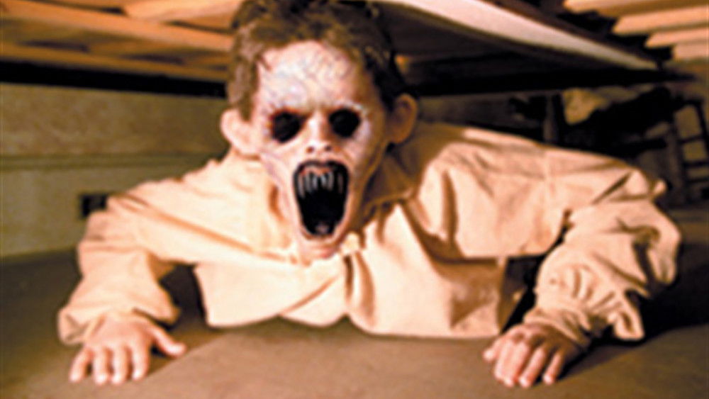 索魂恶鸟,Dead Birds(2004电影)