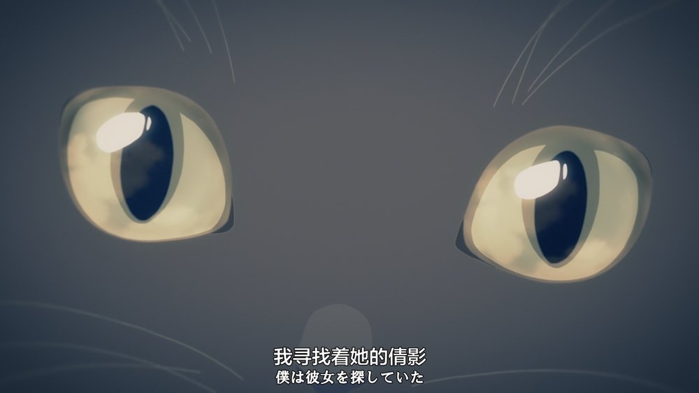 她和她的猫,彼女と彼女の猫 -Everything Flows-(2016日本动漫)