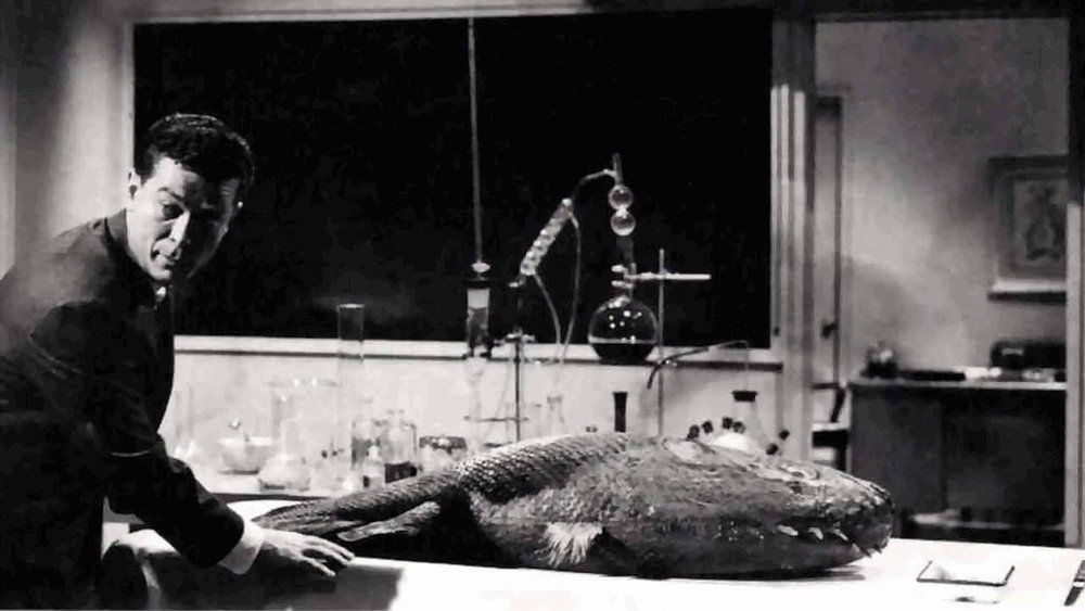 校园怪物,Monster on the Campus(1958电影)