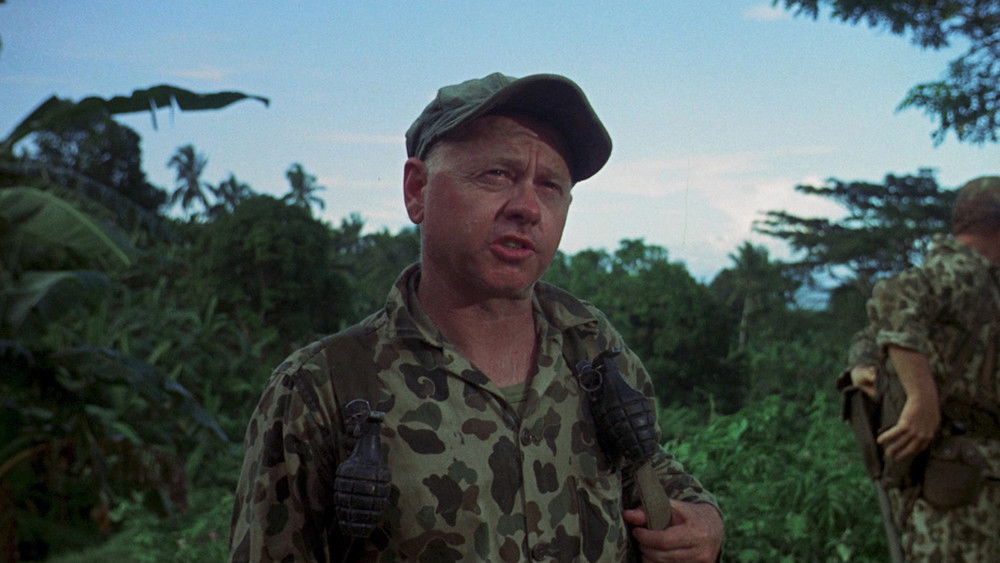 激战伏兵湾,Ambush Bay(1966电影)