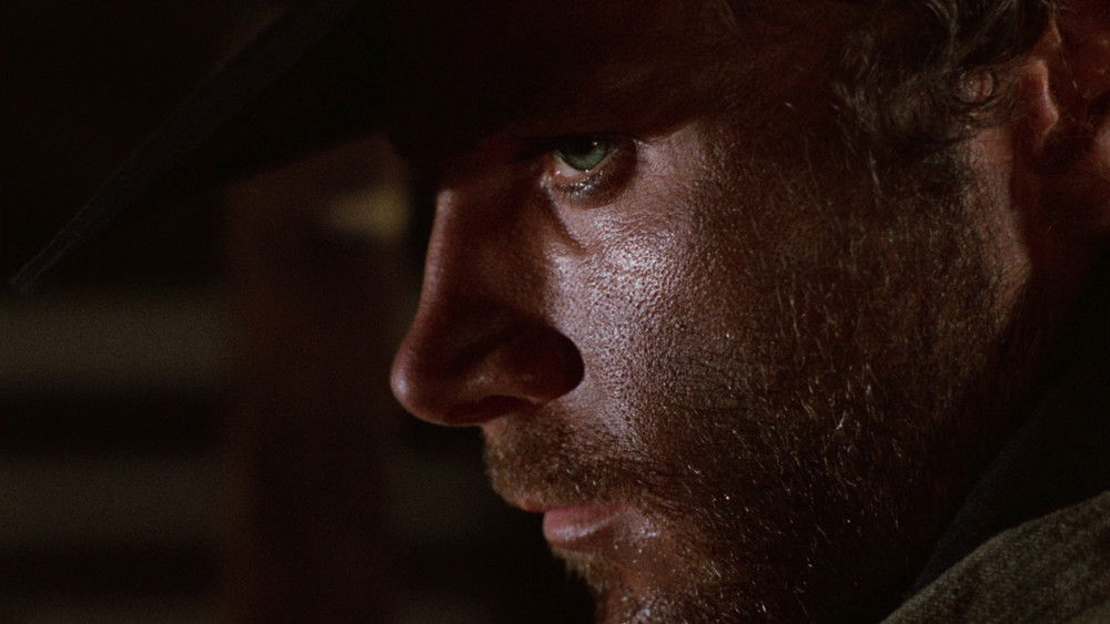 姜戈,Django(1966电影)