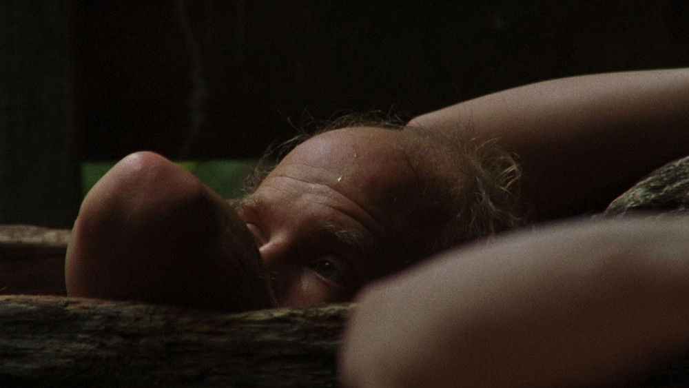 昨日欢愉,Old Joy(2006电影)