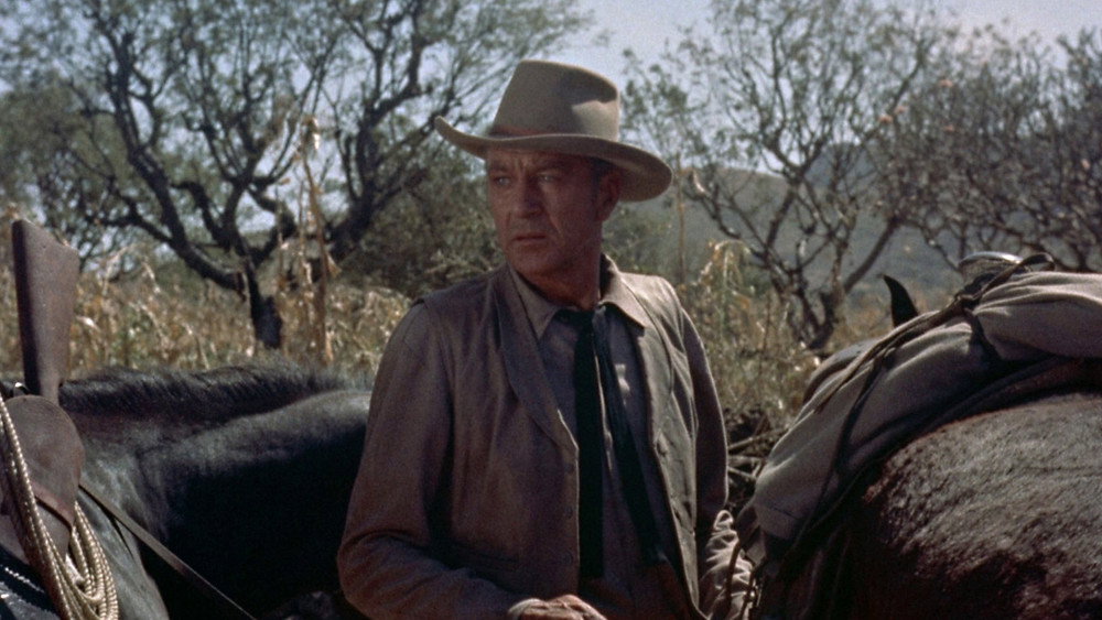 黄金篷车大作战,Vera Cruz(1954电影)