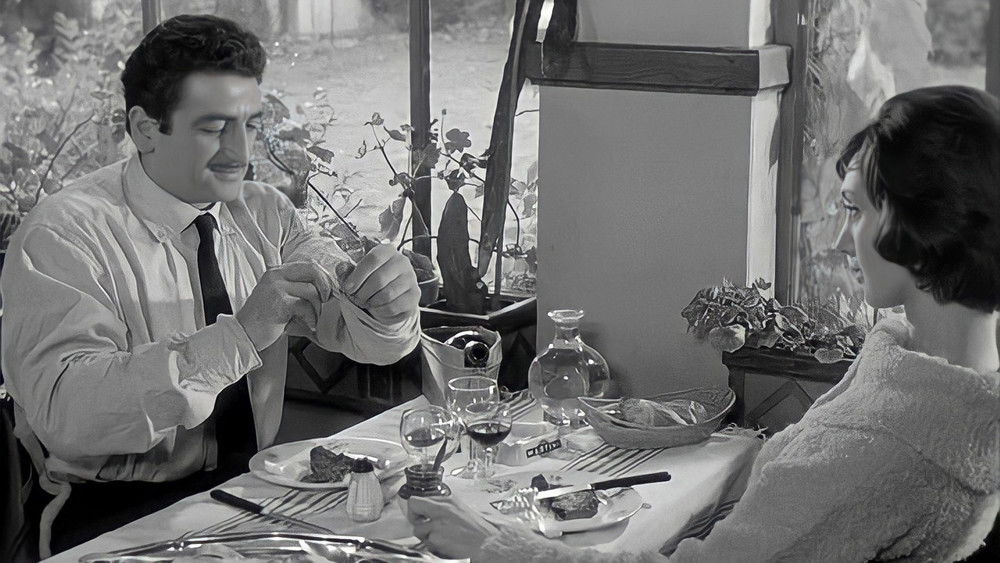 好女人们,Les bonnes femmes(1960电影)