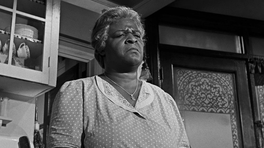 阳光下的葡萄干,A Raisin in the Sun(1961电影)