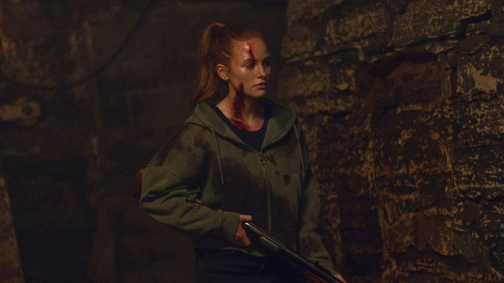 陌生人：第三章,The Strangers: Chapter 3(2026电影)