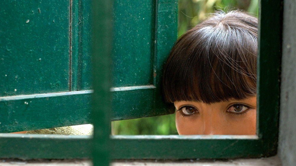 伤心的奶水,La teta asustada(2009电影)