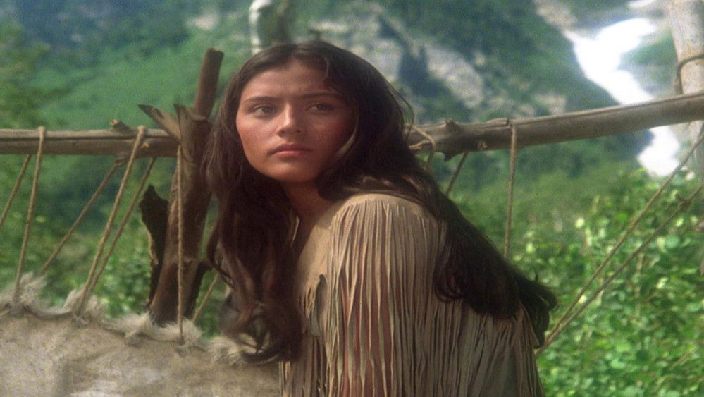 风行者,Windwalker(1980电影)