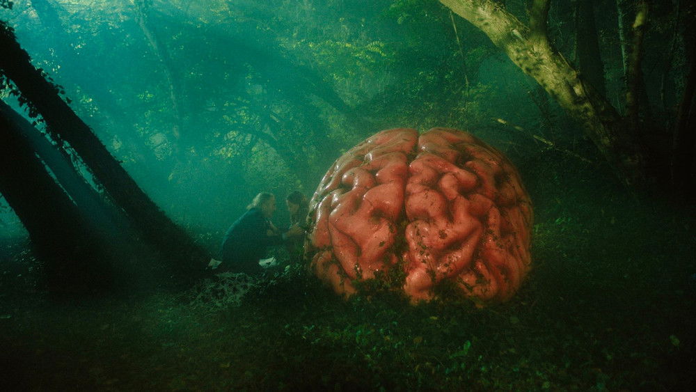 谣言,Rumours(2024电影)