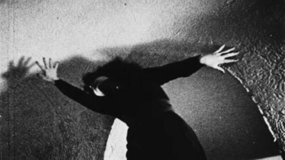 午后的迷惘,Meshes of the Afternoon(1943电影)