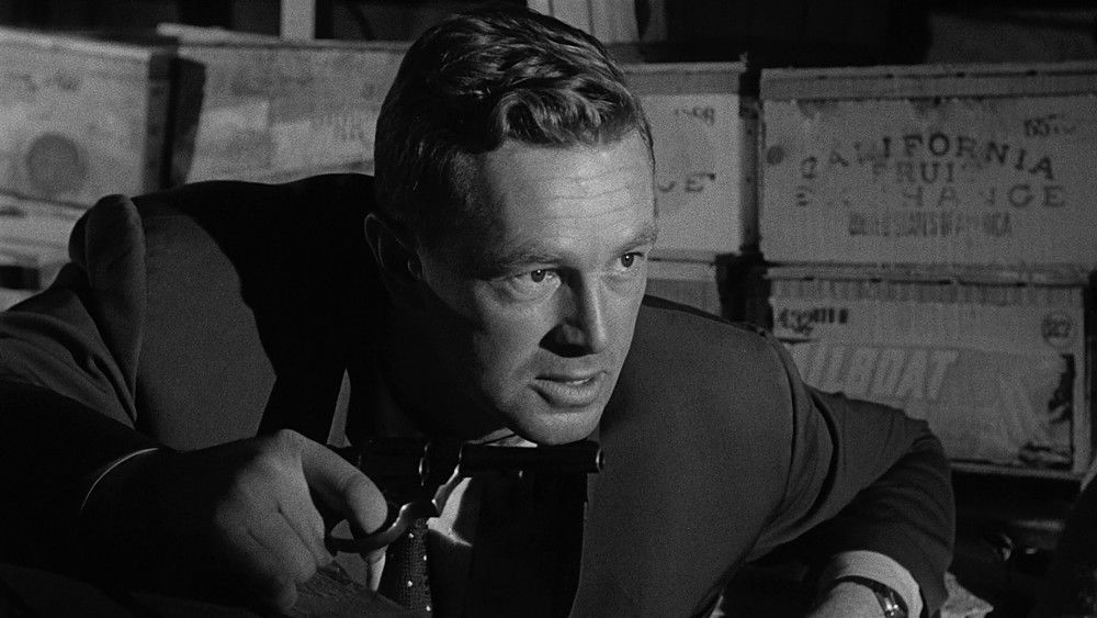 凶枪血影,Naked Alibi(1954电影)