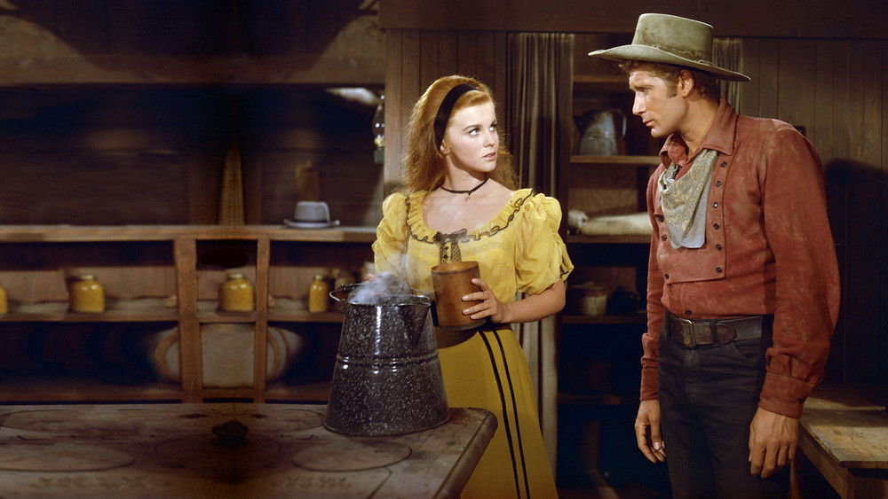 七侠三雄,Stagecoach(1966电影)