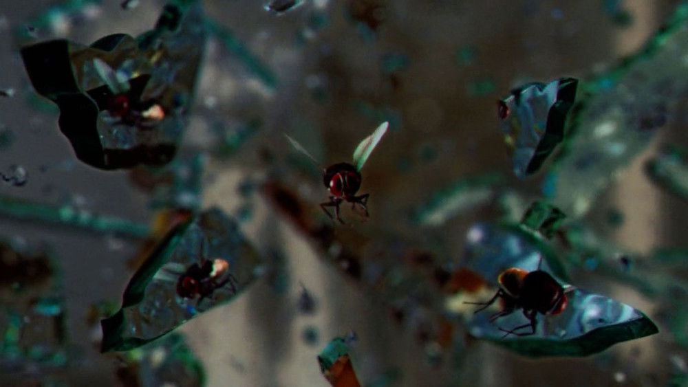 功夫小蝇,ఈగ(2012电影)