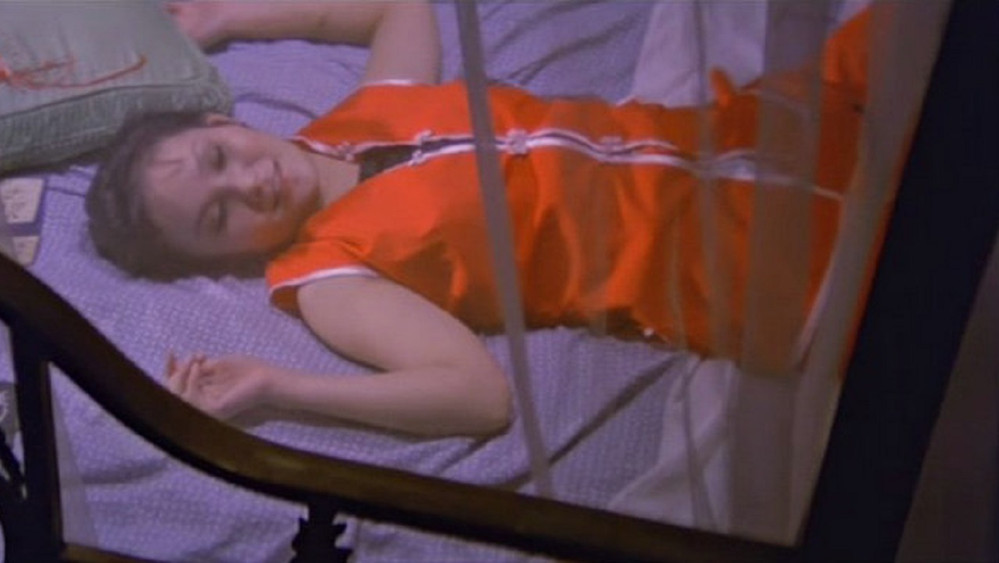 捉奸趣事(1975电影)