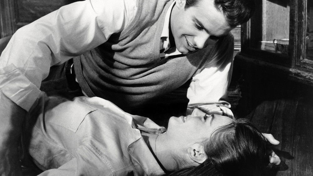 天涯何处觅知音,Splendor in the Grass(1961电影)