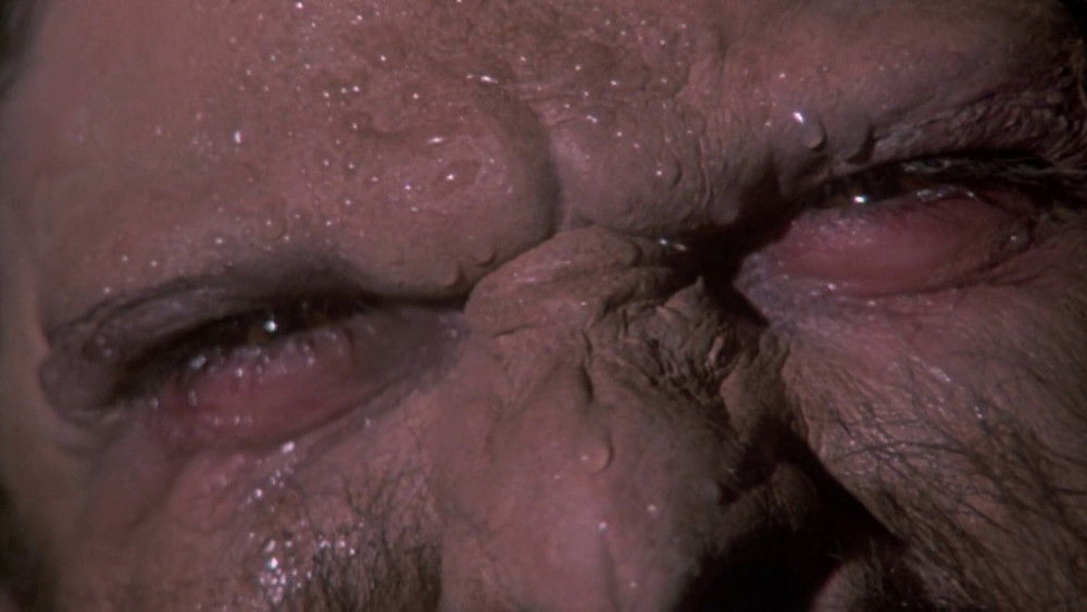 破胆三次2,Howling II: Stirba - Werewolf Bitch(1985电影)