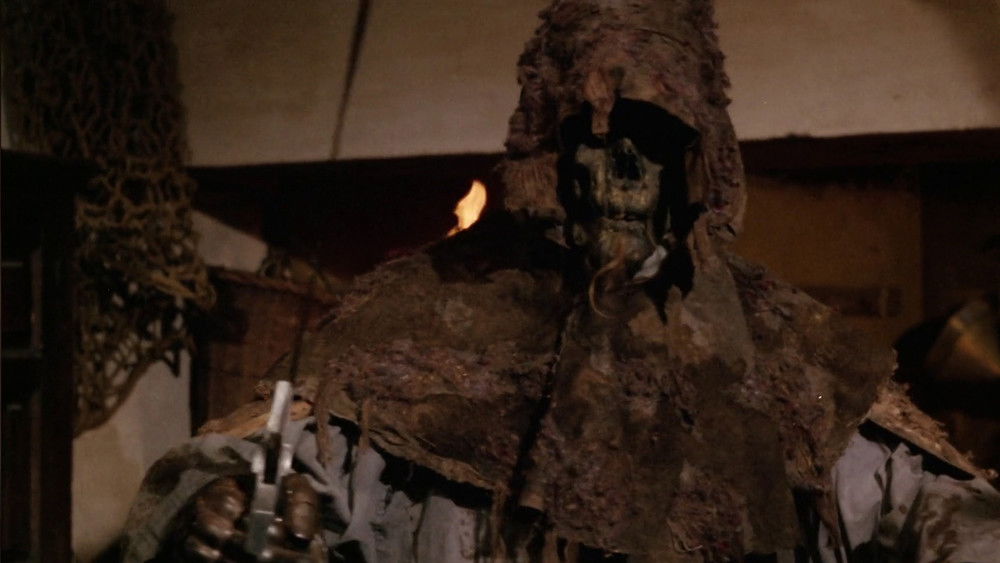 墓地亡灵4：海鸥之夜,La noche de las gaviotas(1975电影)