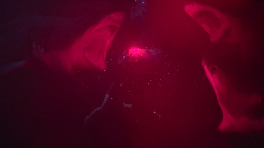 鲨海,47 Meters Down(2017电影)