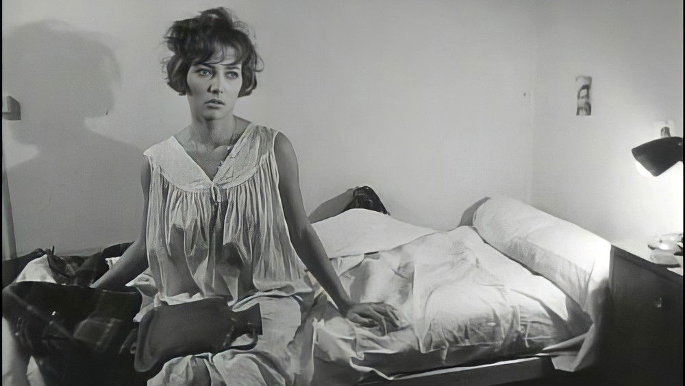 好女人们,Les bonnes femmes(1960电影)