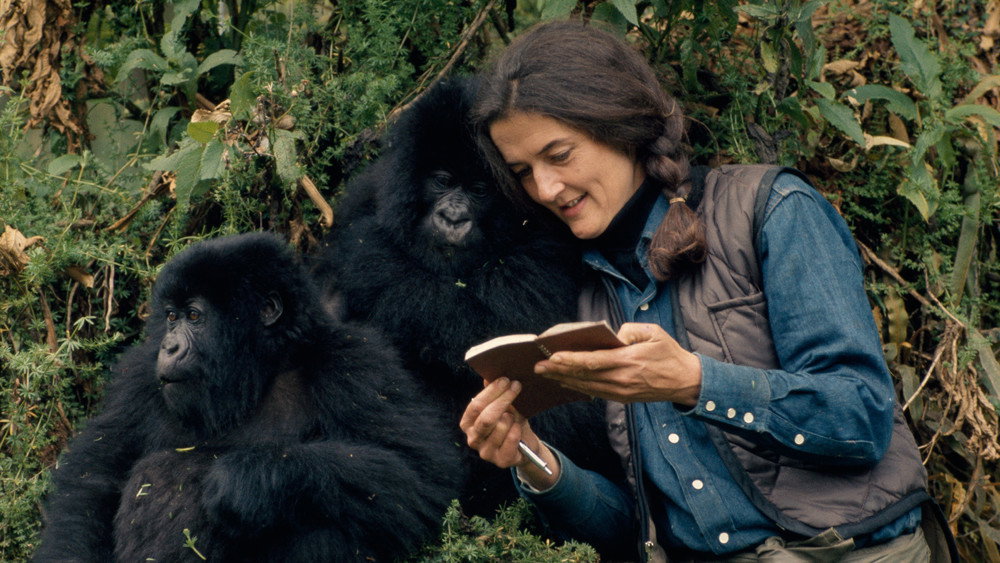 戴安·弗西被杀之谜,Dian Fossey: Secrets in the Mist(2017电视剧集)