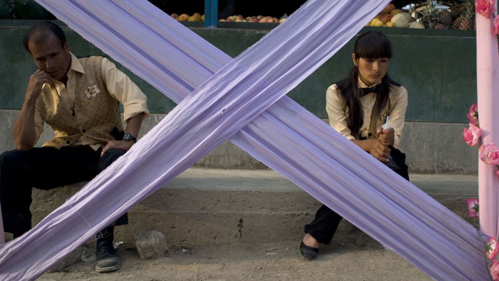 伤心的奶水,La teta asustada(2009电影)