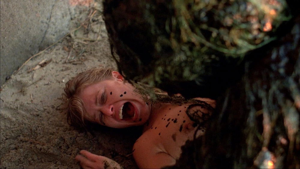 凶煞鱼怪,Humanoids from the Deep(1980电影)