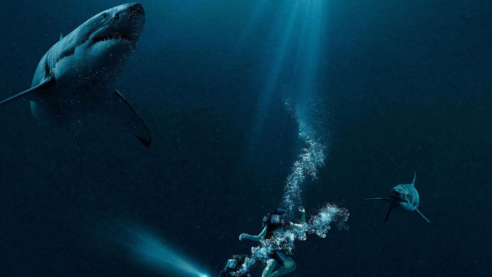 鲨海,47 Meters Down(2017电影)