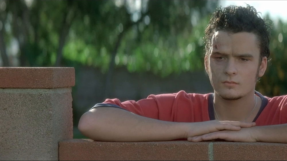 妖夜慌踪,Lost Highway(1997电影)